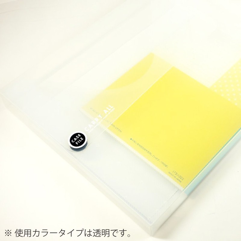 Kokuyo S & T case file A4 28 wide blue