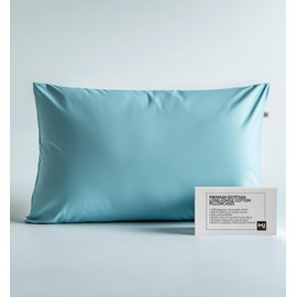 King Size Pillow Cases - Hypoallergenic Pillow Cover - Satin Pillowcase for Hair and Skin - Soft Smooth, Anti Wrinkle, 100% Cotton 400TC, with Hidden Zipper, 1pc (King 20 x 36, Light Blue)