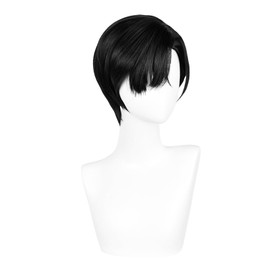 LAOBAO Ivan Ivan Cosplay Wig, Wig, Black Hair, Short Hair, Heat Resistant, For Disguise, Costume Accessory, Halloween Costume, Cosplay Wig