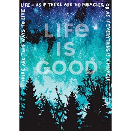 Buffalo Games - Everything is a Miracle - 500 Piece Jigsaw Puzzle for Adults Challenging Puzzle Perfect for Game Nights - 500 Piece Finished Size is 21.25 x 15.00