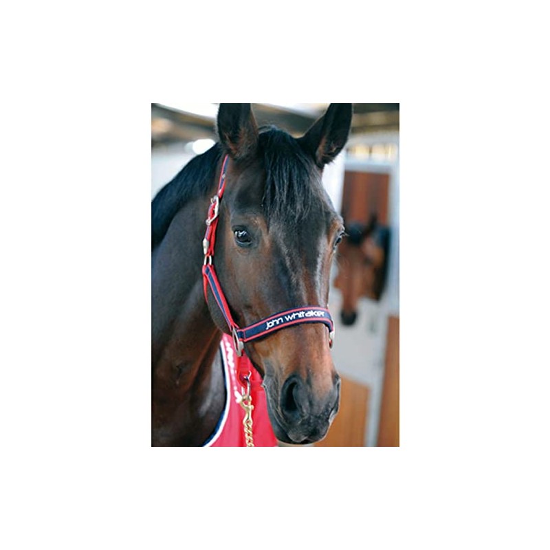John Whitaker Unisex Padded Head Collar Red/Navy Pony