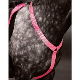 Equi-Flector Shires Horse/Pony Breastplate in Reflective Pink Pny/Cob, Pink