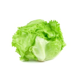 Iceberg Lettuce Seeds for Planting Home Garden Outdoors.