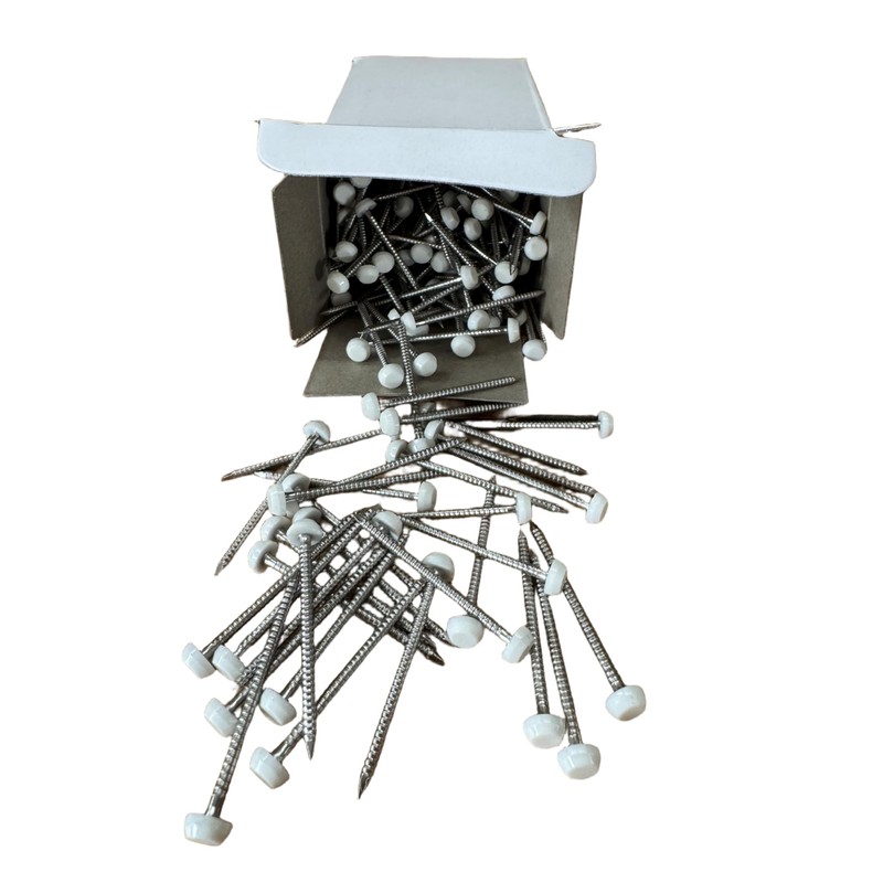 40mm Poly Top Pins / Nails (Pack of 250) Stainless