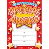 Special Award Reward Certificates - 16 Pack A6 School Awards