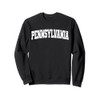 Pennsylvania State Men Women Kids Retro Vintage Pennsylvania Sweatshirt