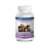 PET SUPPLEMENTS cat Immune System Support - Immune Support -