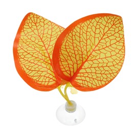 CAPASTEC Betta Fish Leaf, Natural Habitat Simulation for Betta Spawnings Grounds, Betta Spawnings Leaves, Resting Bed, Double Leaves, Orange Yellow