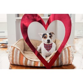 Lionet Paws Valentine Dog Bandana for Small Medium Dogs,Pink Hearts Black Kerchief Washable Dog Triangle Bibs Scarf for Girl or Boy Gift