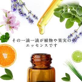 Aroma Oil, Essential Oils, Trial Set (Self-Care), 0.2 fl oz (5 ml) x 6 Bottles, Aroma, Natural Essential Oil, Nagomi Aroma, AEAJ Display Standards Certified Essential Oils, Genuine Lavender, Rose
