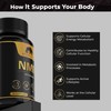 Bearactive NAD+ Nicotinamide 500mg, 30 Capsules – Supports Anti-Aging, Energy,