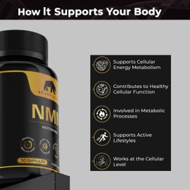 Bearactive NAD+ Nicotinamide 500mg, 30 Capsules – Supports Anti-Aging, Energy, Cellular Health & Longevity – Sepismart SR Sustained Release – Vegan NAD Supplements UK
