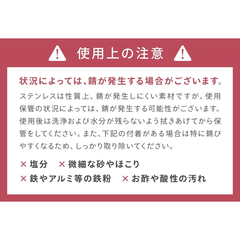 CICADA Kitchen Scissors with Case, Lightweight, Disassembly, Stainless Steel, Dishwasher