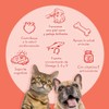 Aceite de Salmon para Perros y Gatos Omega 3, 6