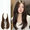 Lamedy layered cut C-curl hairpiece snap hair extensions 50cm, 1 piece, light brown / 라메디 레이어드컷 C컬 헤어피스 똑딱이 붙임머리 50cm, 1개, 라이트브라운