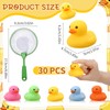 30pcs Rubber Ducks Bath Toys With 2 Fishing Net, Water