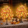 2FT Fall Lighted Eucalyptus Tree, 24 Inch Light Up Tabletop