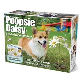 Prank-O Prank Gift Box - Poopsie Daisy, White Elephant Gift, Funny Idea