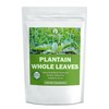 Dried Whole Plantain Leaf Herbs - 2.0 oz(56.0g), All-Natural Plantain