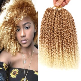 LLZBEAUTYHair 6Bundles/Lot Passion Twist Hair Marlybob Crochet Braids Hair Kinky Curly Crochet Hair Marly Twist Short Crochet Hair Extensions for Black Women (12Inchs(6bundles), #T27-613)