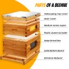 Honey Lake 10 Frame Langstroth Beehive Starter Kit – Wax-Dipped