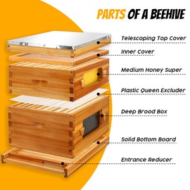 Honey Lake 10 Frame Langstroth Beehive Starter Kit – Wax-Dipped Bee Hive with Viewing Windows, Deep Brood Box, Medium Super, Beehive Frames & Waxed Foundation Sheets