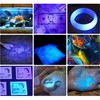 DARKBEAM UV 365nm Flashlight USB Rechargeable Wood's Lamp Black Light