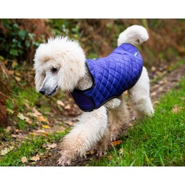 Henry Wag Quilted Dog Jacket - Stylish & Practical Dog Coat, Fleece lined, Waterproof - Purple Colour - Medium (45cm)