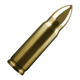 Goetland 304 Stainless Steel 16 oz Bullet Water Bottle Bullet Tumbler Vacuum Insulated Cup Travel Mug Flasks No Logo Gold