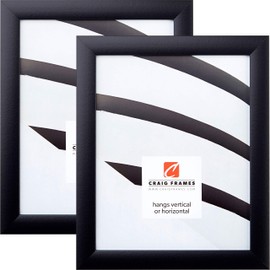 Craig Frames Contemporary, 16x20 Picture Frame, Gallery Black, Set of 2