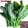 Treevale Kai-lan Seeds | Chinese Broccoli, White-flowerin - 1k Seeds or 1/8 OZ W/Tracking