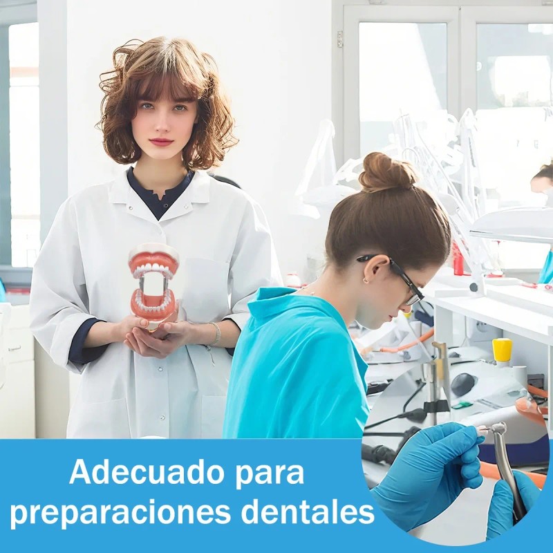 Paquete Dientes Compatibles Nissin Tipodonto