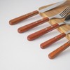 Takakuwa Metal Andesteak Cutlery Brown Dessert Spoon 410941