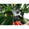 Okatsune No. 101 Pruning Shears 7.1 inches (180 mm)