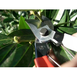 Okatsune No. 101 Pruning Shears 7.1 inches (180 mm)