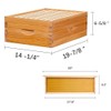 Beehive Box Langstroth Medium Super Bee Box for Sale Wax