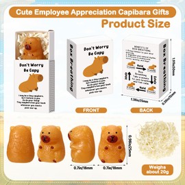 Wettarn 24 Sets Capybara Desk Pets Gifts Cute Stress Balls with Support Gift Boxes Inspirational Party Favors for Employee Coworker Friends Office Positive Stress Relief Toys