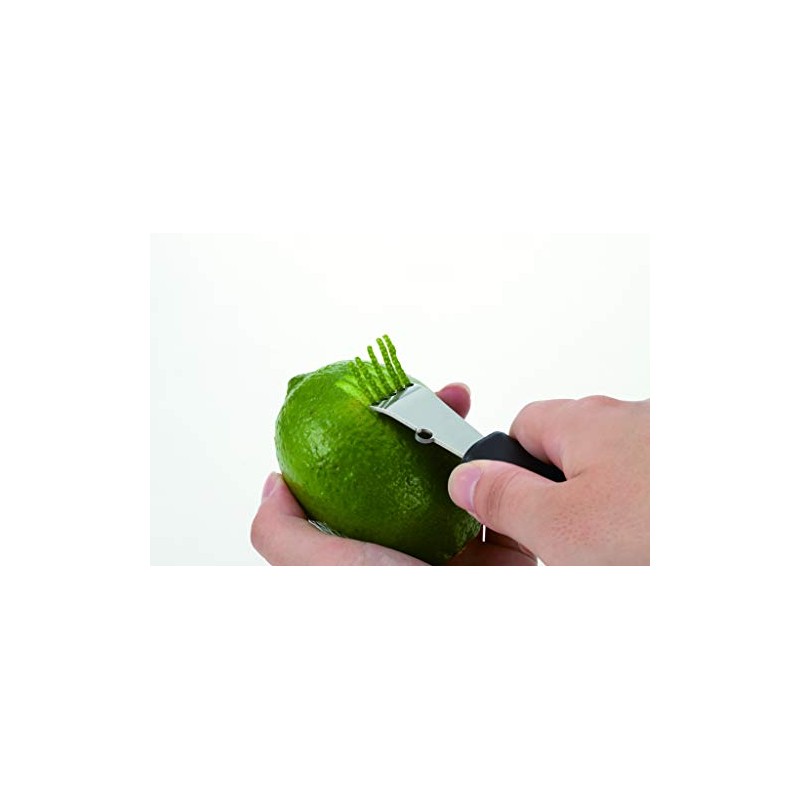 Endoshoji TKG Professional Kitchen Tools BKTJ301 KT87874 Lemon Zester, Polypropylene