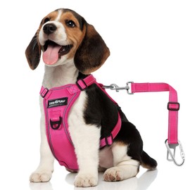 VavoPaw Dog Seat Belt Harness for Car, Dog Car Harness Adjustable Mesh Breathable & Dogs Seatbelt Safety Tether with Elastic Bungee for Small Medium Large Pets(Rose, S)