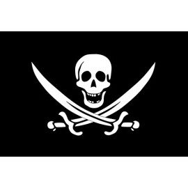 Pirate Ship Flag Jolly Roger Skull and Crossbones SWORDS Decal Sticker 4"x6" 732