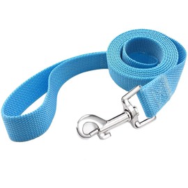 TAIAN 5 FT Strong Dog Leash, Nylon Dog Leashes for Small Medium Large Dogs Blue
