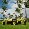 Spikeball Titan Set