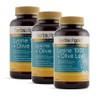 Herbs of Gold Lysine 1000 + Olive Leaf Extract Herbs of Gold Lysine + Olive Leaf, 3 units, 100 tablets / 허브 오브 골드 라이신 1000 + 올리브잎 추출물 Herbs of Gold Lysine + Olive Leaf, 3개, 100정