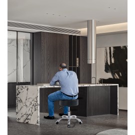 Lilfurni Swivel Rolling Stool Round Chair,Thick Sturdy Padding,Adjustable Stool with Wheels for Doctor,Medical,Massage Salon,Office,Shop(Black) (no Back, Black)