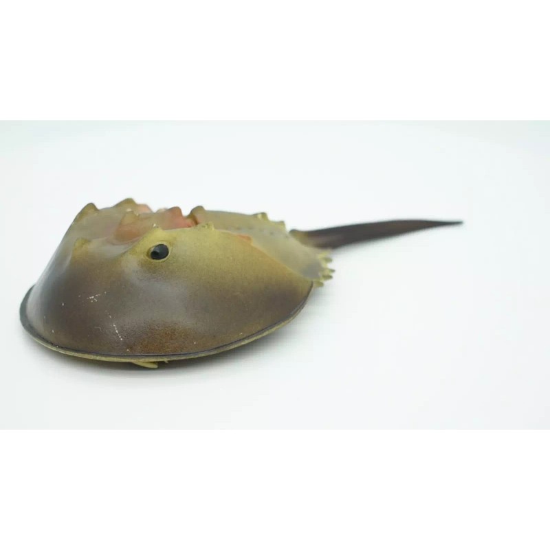 Deshen Du Horseshoe Crab Toy, Arthropods, Quality, Rubber, Educational, Model,