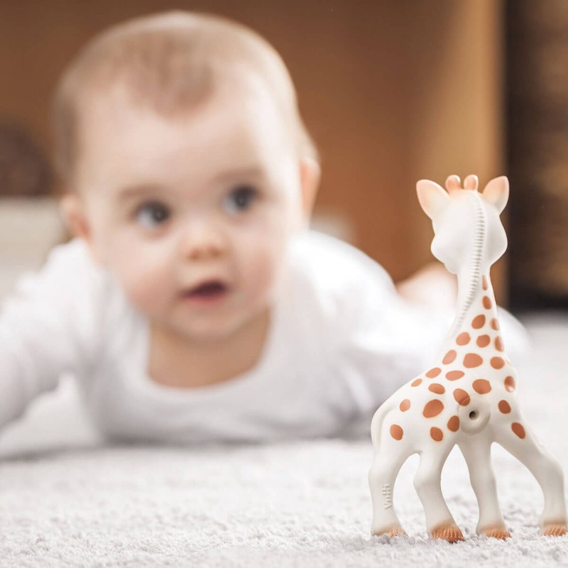 Sophie La Girafe, 1 Item