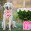 ADOGGYGO Floral Dog Bandana 2 Pack, Reversible Red Pink Rose
