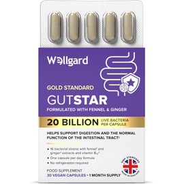 Wellgard Gutstar Probiotics - 16 Strain Probiotics for Gut Health with Fennel and Ginger, Vegan, UK Made
