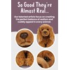 Living Nature Cocker Spaniel, Realistic Soft Cuddly Dog Toy, 22cm