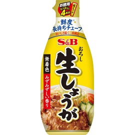 S & B value pack grated raw ginger 160g [Parallel import]